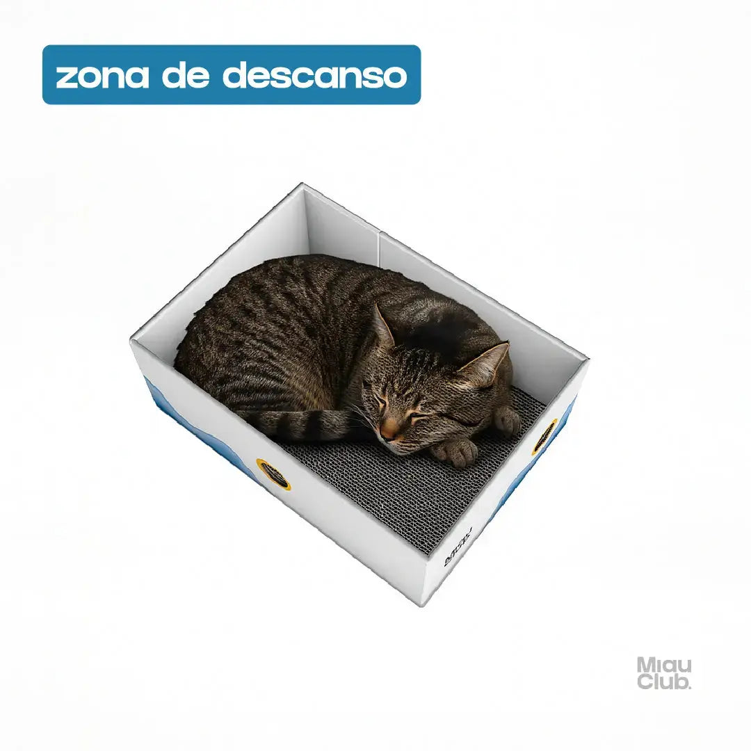 Rascador para Gatos - MIAU Miau