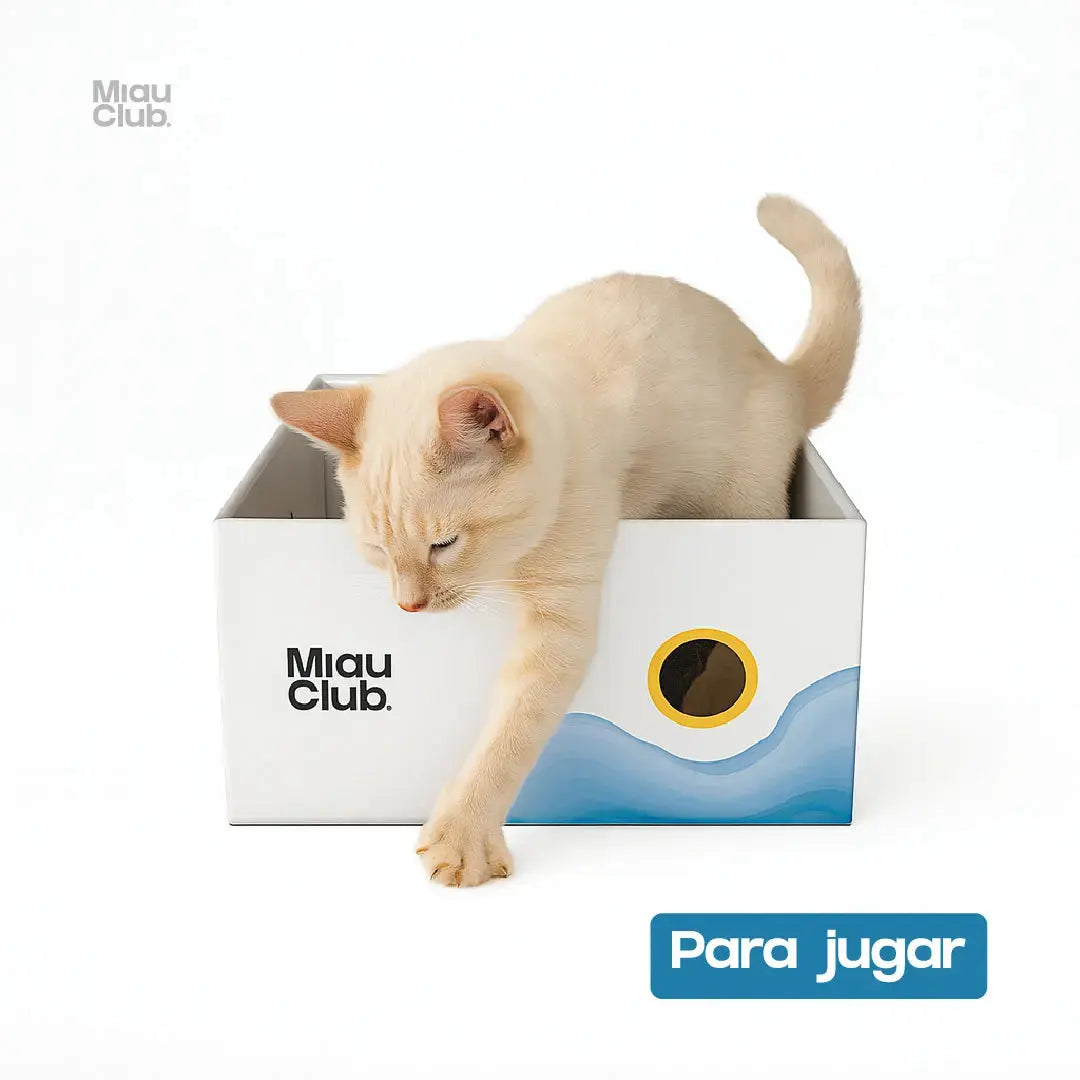 Rascador para Gatos - MIAU Miau