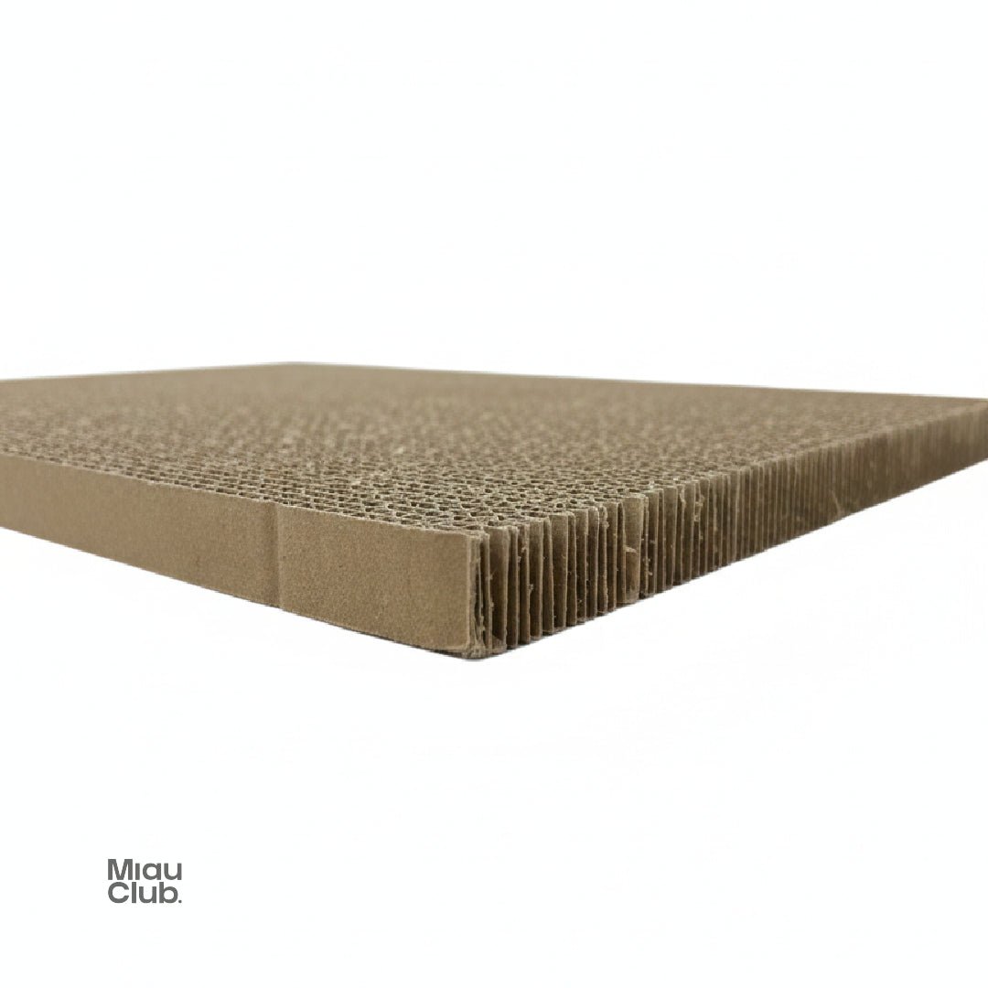 Repuestos para rascador | Miau Club - Miau Club