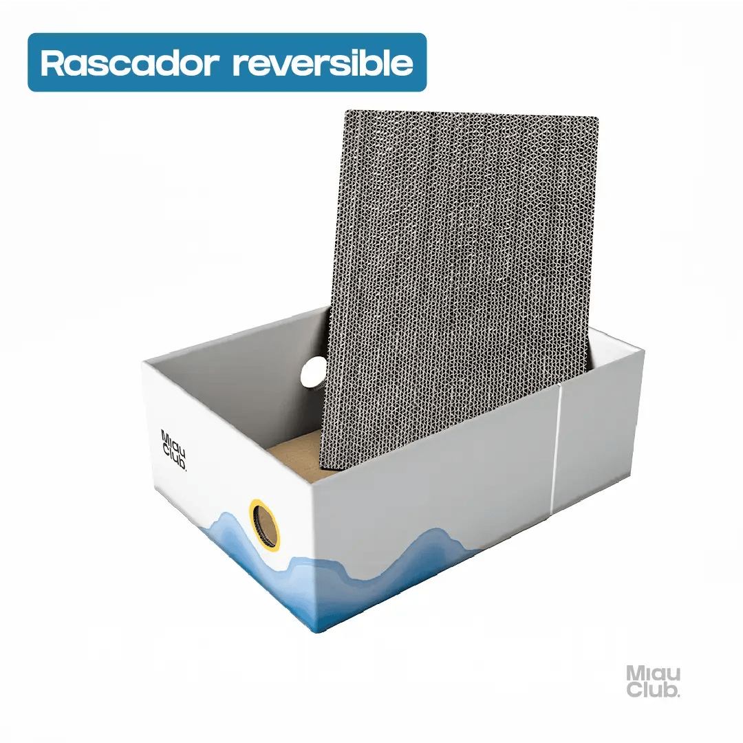 Rascador para Gatos 3 en 1 | Único en Colombia 👻 - Miau Club
