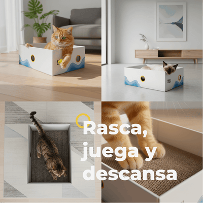 Combo Spa Miau | Bienestar y cuidado completo para tu gato - Miau Club