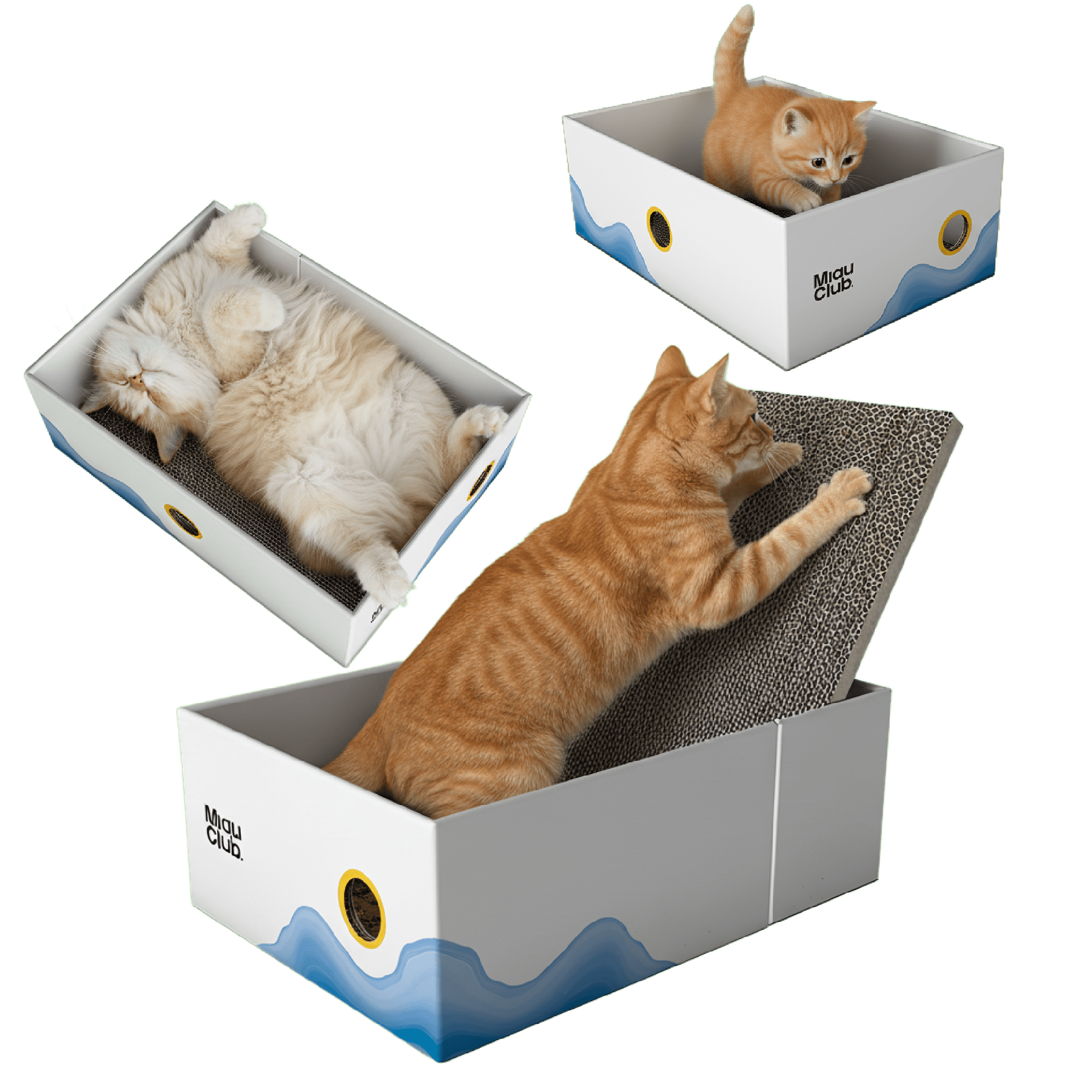 Combo Diversión Total 🧶 (Rascador + Varita + Set pelotas + Catnip) - Miau Club