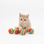 Combo Rasca Feliz | El punto de partida ideal para tu gato - Miau Club