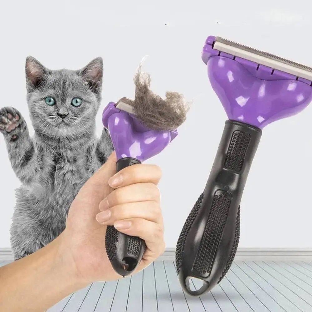 Combo Spa Miau | Bienestar y cuidado completo para tu gato - Miau Club