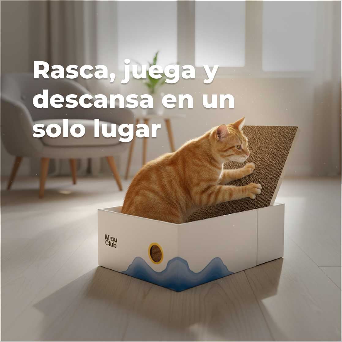 El rascador que tu gato sí va a usar | Salva tus muebles - Miau Club