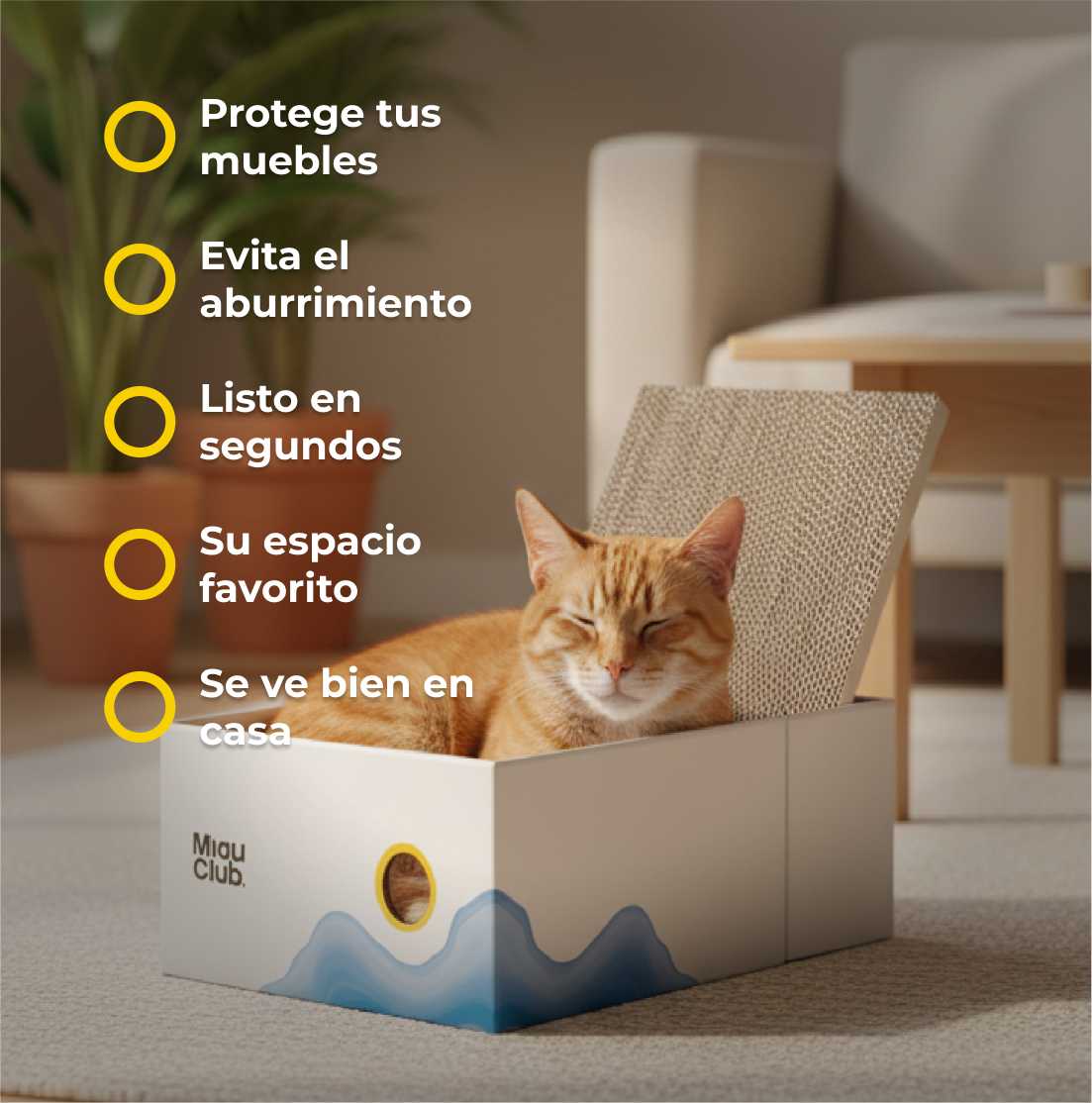 El rascador que tu gato sí va a usar | Salva tus muebles - Miau Club