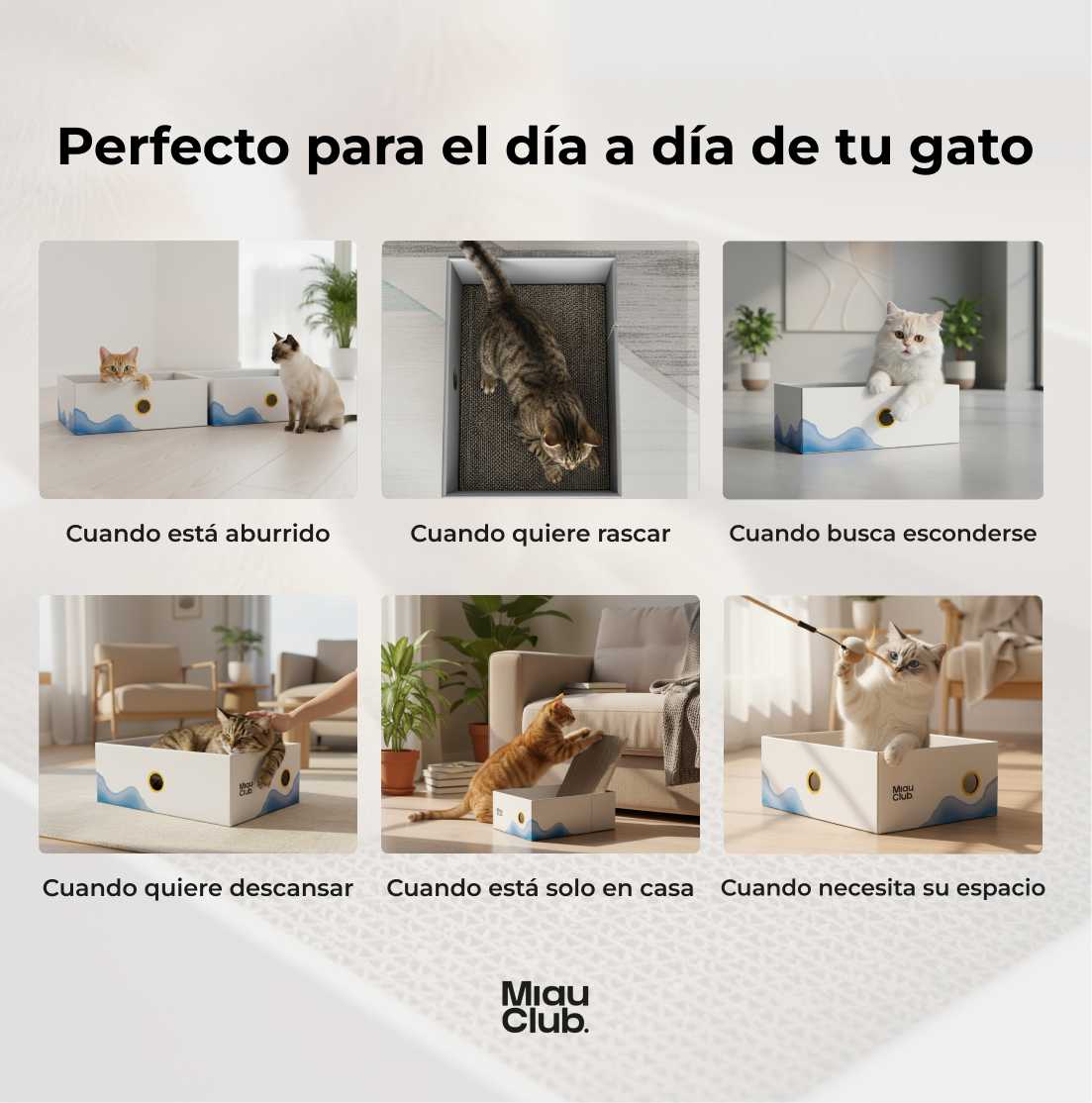 El rascador que tu gato sí va a usar | Salva tus muebles - Miau Club