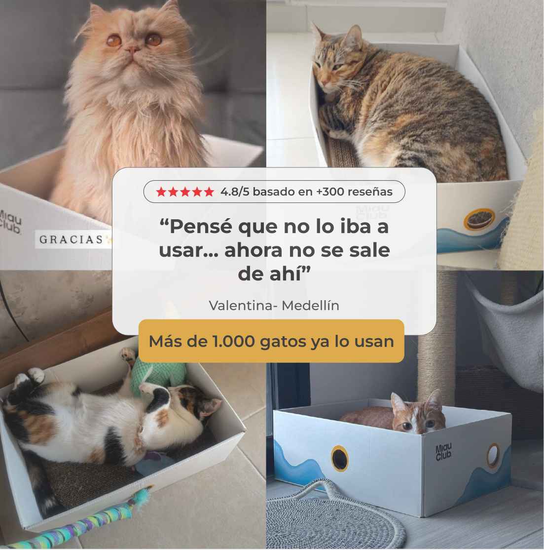 El rascador que tu gato sí va a usar | Salva tus muebles - Miau Club