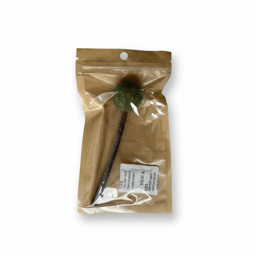 Bon Bon Bum de Catnip & Matatabi para Gatos - Miau Club