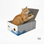 El rascador que tu gato sí va a usar | Salva tus muebles - Miau Club