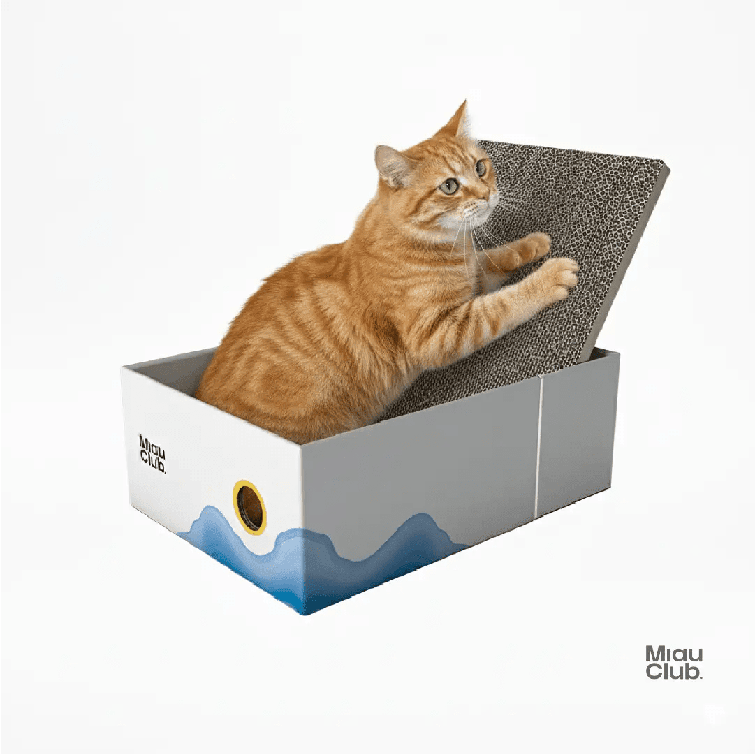 El rascador que tu gato sí va a usar | Salva tus muebles - Miau Club