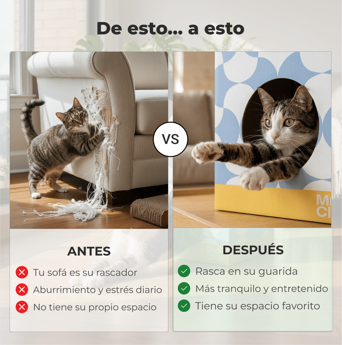 Casita Miau - Su refugio ideal - Miau Club
