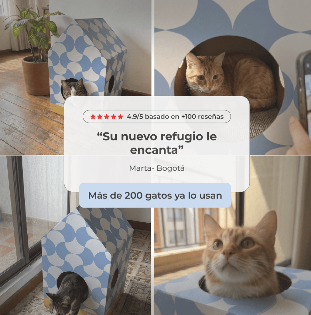 Casita Miau - Su refugio ideal - Miau Club