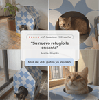 Casita Miau - Su refugio ideal - Miau Club