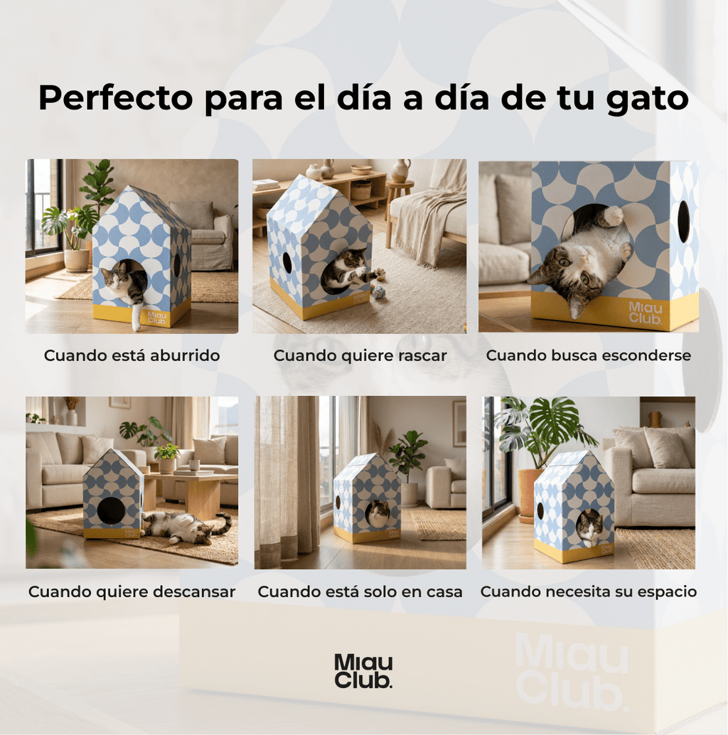 Casita Miau - Su refugio ideal - Miau Club
