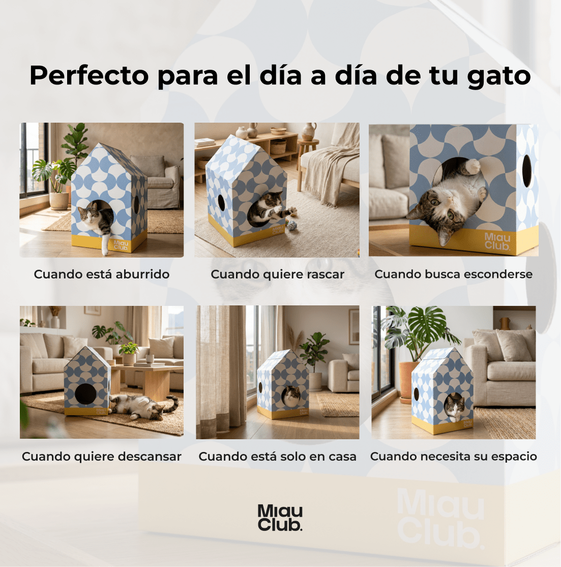 Casita Miau - Su refugio ideal - Miau Club