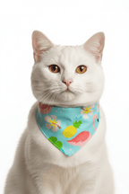 Combo Spa Miau | Bienestar y cuidado completo para tu gato - Miau Club