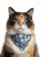 Combo Spa Miau | Bienestar y cuidado completo para tu gato - Miau Club