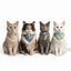 Bandanas y Pañoletas para Gatos – Moda Felina - Miau Club