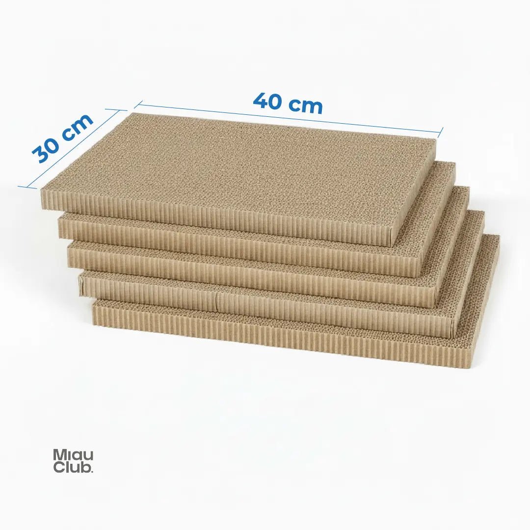 Rascador para Gatos 3 en 1 | Único en Colombia 👻 - Miau Club