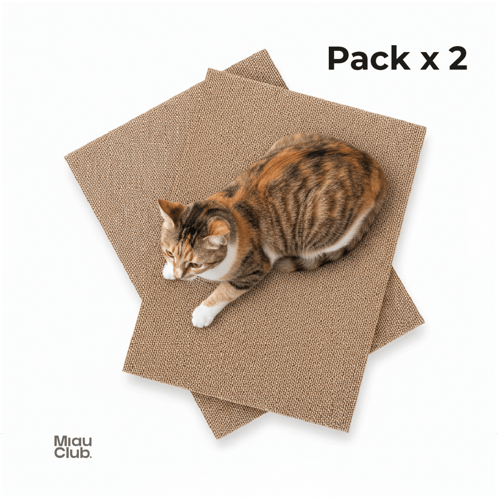 Repuestos para rascador x2 | Miau Club - Miau Club