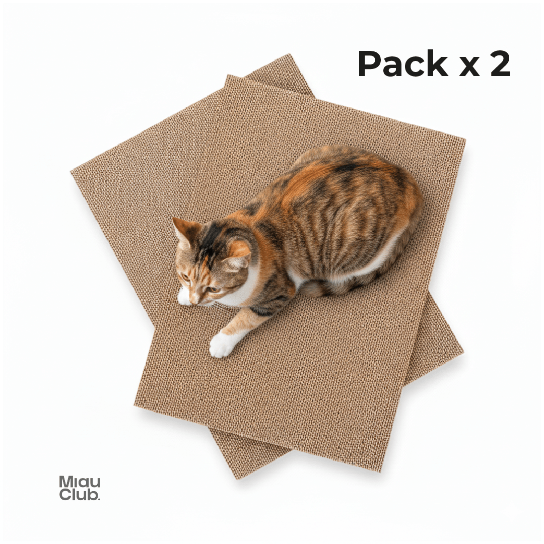 Repuestos para rascador | Miau Club - Miau Club