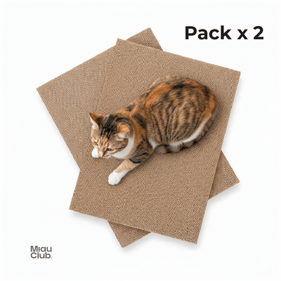 Repuestos para rascador | Miau Club - Miau Club