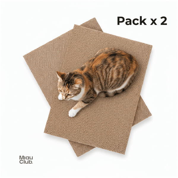 Repuestos para rascador x2 | Miau Club - Miau Club