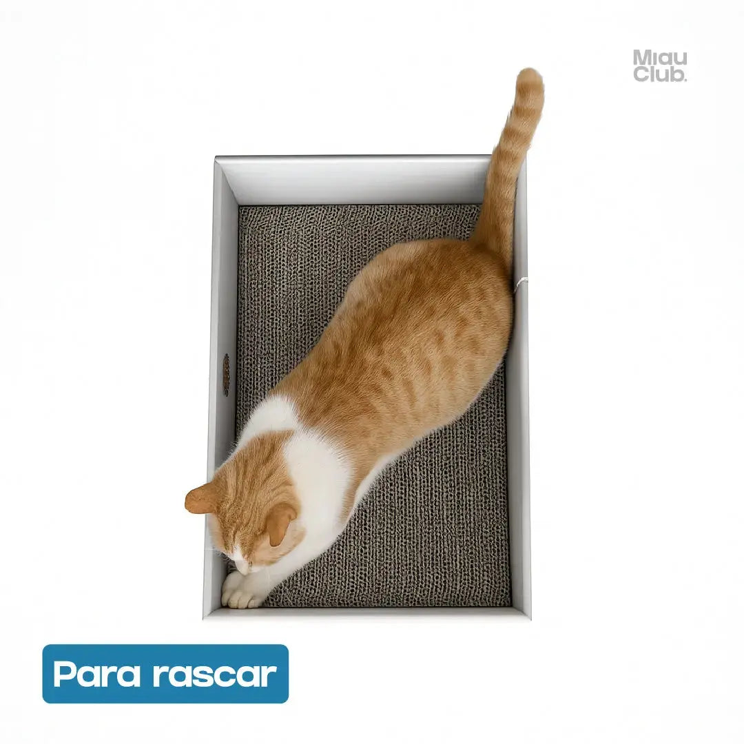 Rascador para Gatos - MIAU Miau