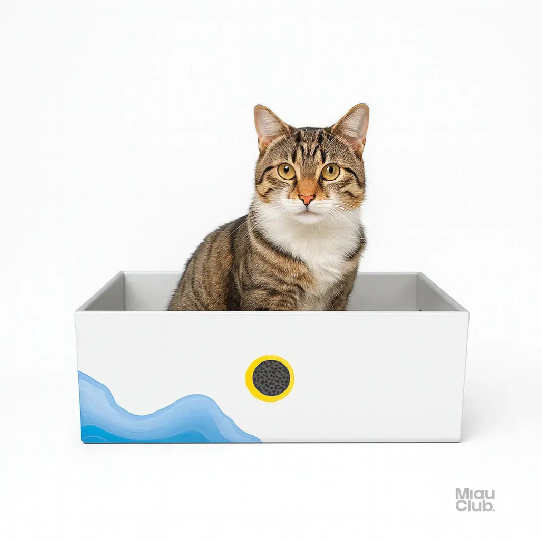Rascador para Gatos - MIAU Miau