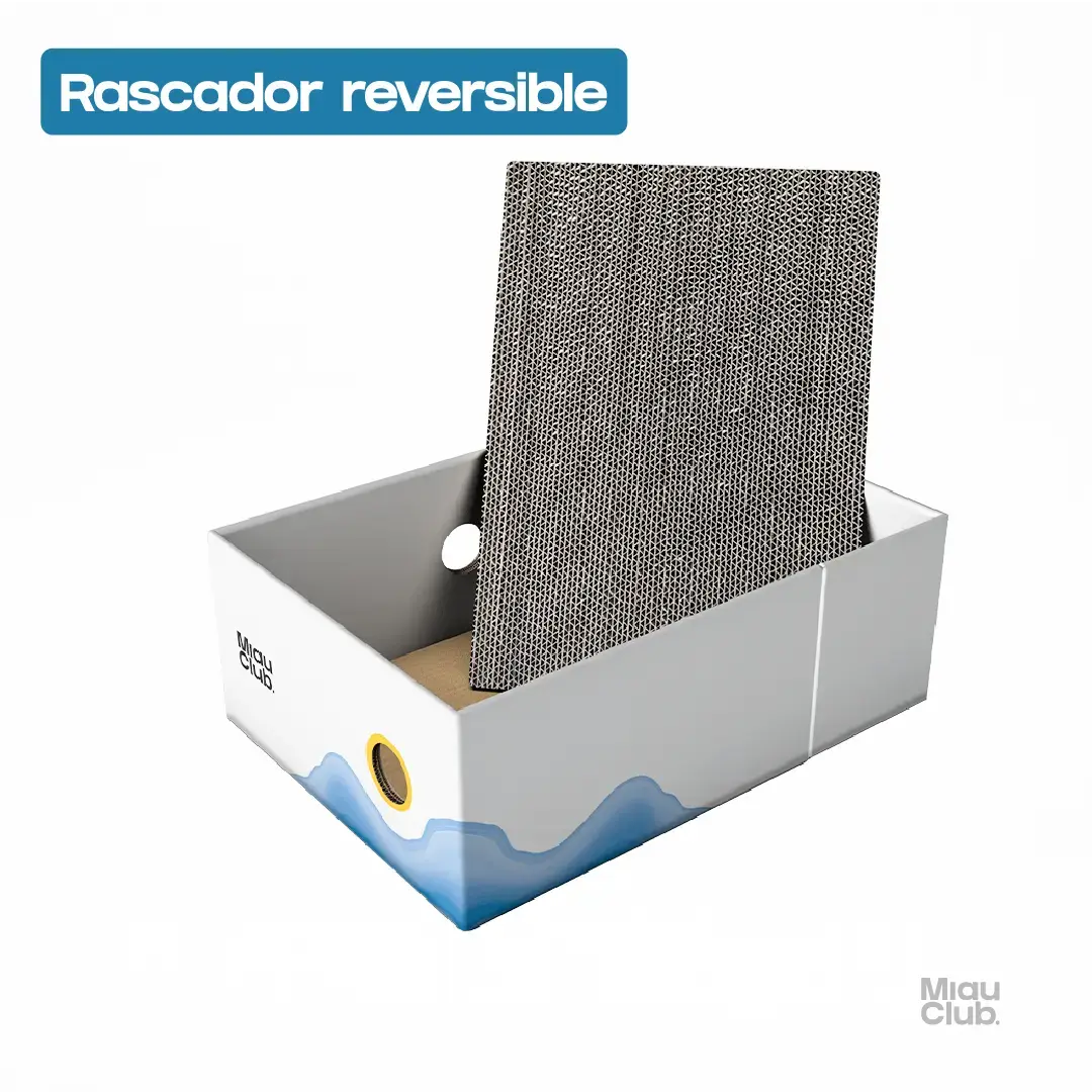 Rascador para Gatos - MIAU Miau