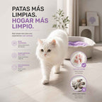 Arena de Tofu Saludable para Gatos: Natural y sin Polvo - Miau Club