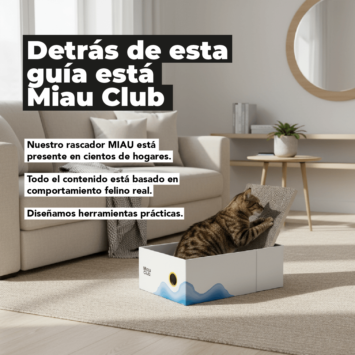 La guía definitiva para que tu gato deje de dañar tus muebles | Método MIAU - Miau Club