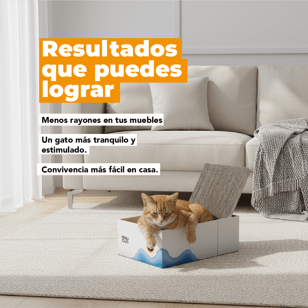La guía definitiva para que tu gato deje de dañar tus muebles | Método MIAU - Miau Club