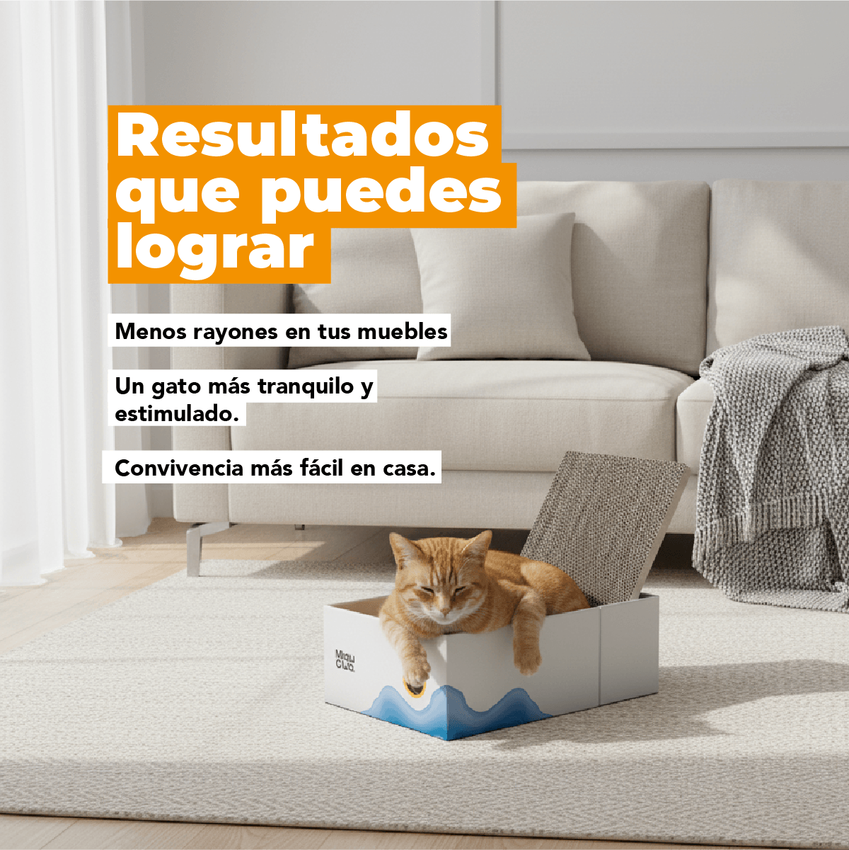 La guía definitiva para que tu gato deje de dañar tus muebles | Método MIAU - Miau Club