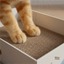 El rascador que tu gato sí va a usar | Salva tus muebles - Miau Club