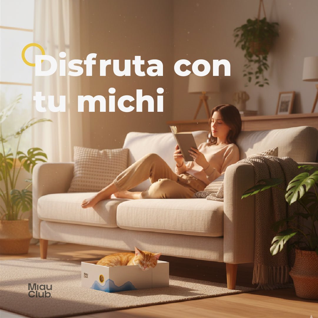 El rascador que tu gato sí va a usar | Salva tus muebles - Miau Club