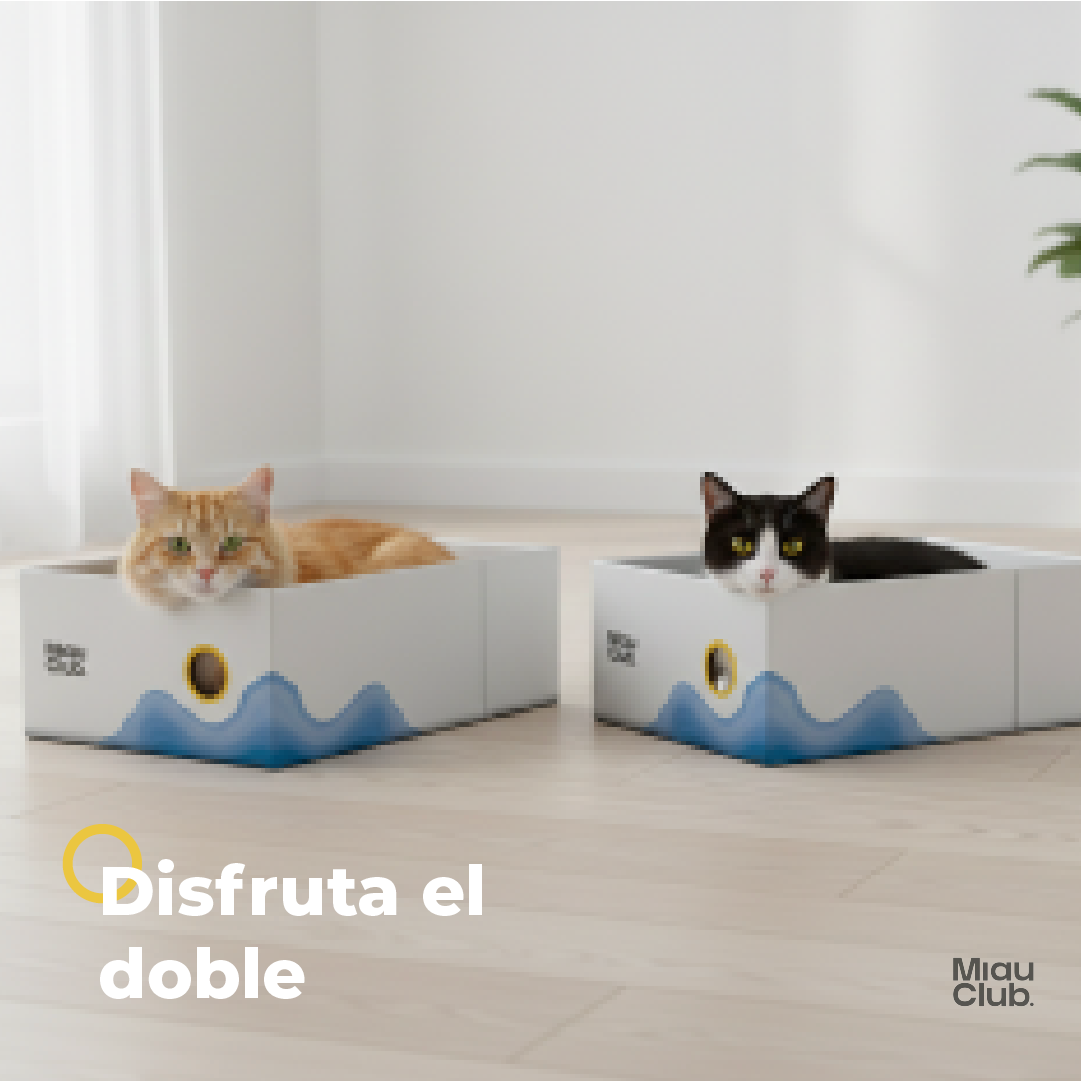 El rascador que tu gato sí va a usar | Salva tus muebles - Miau Club