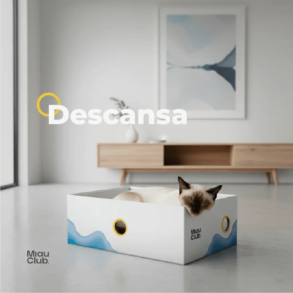 El rascador que tu gato sí va a usar | Salva tus muebles - Miau Club