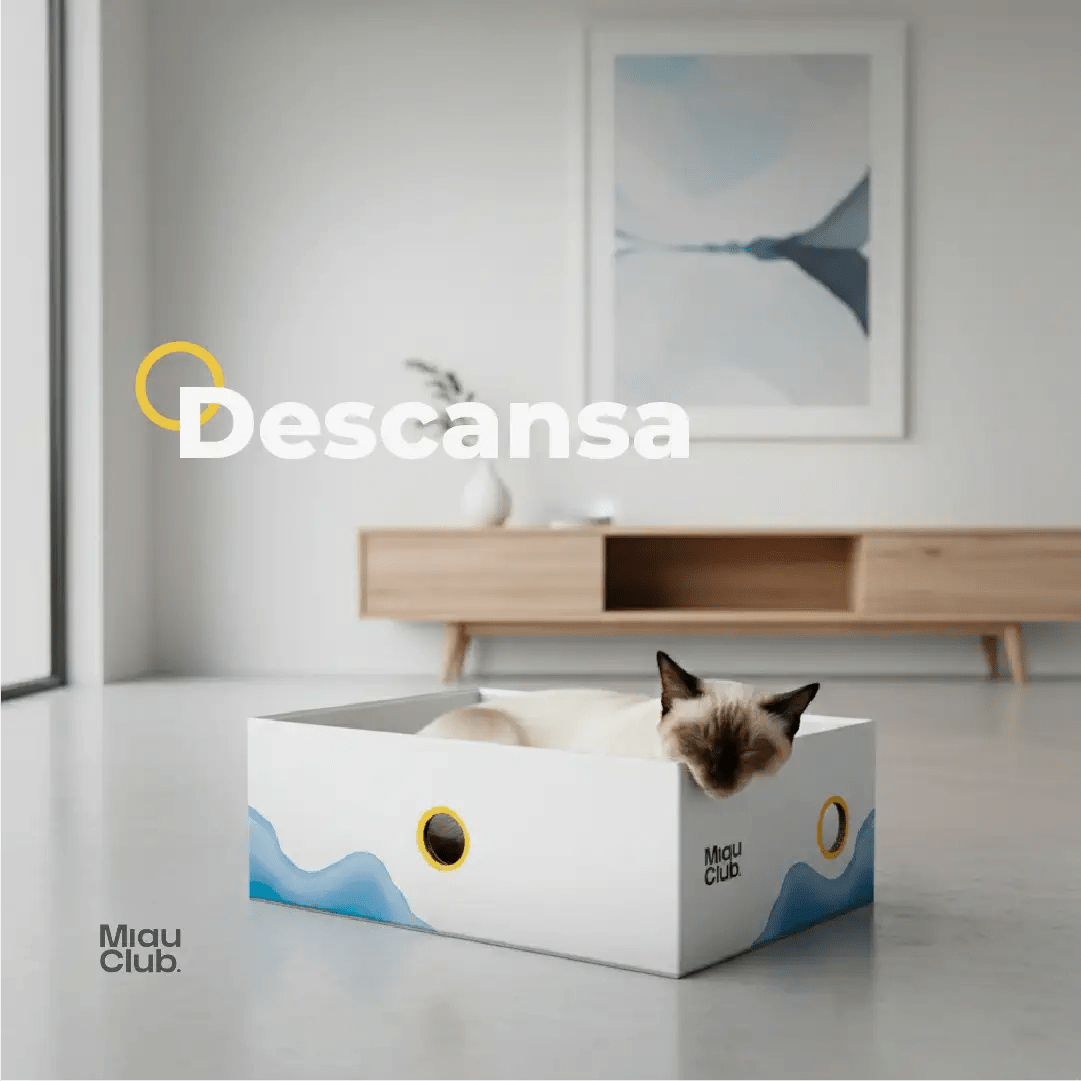 El rascador que tu gato sí va a usar | Salva tus muebles - Miau Club