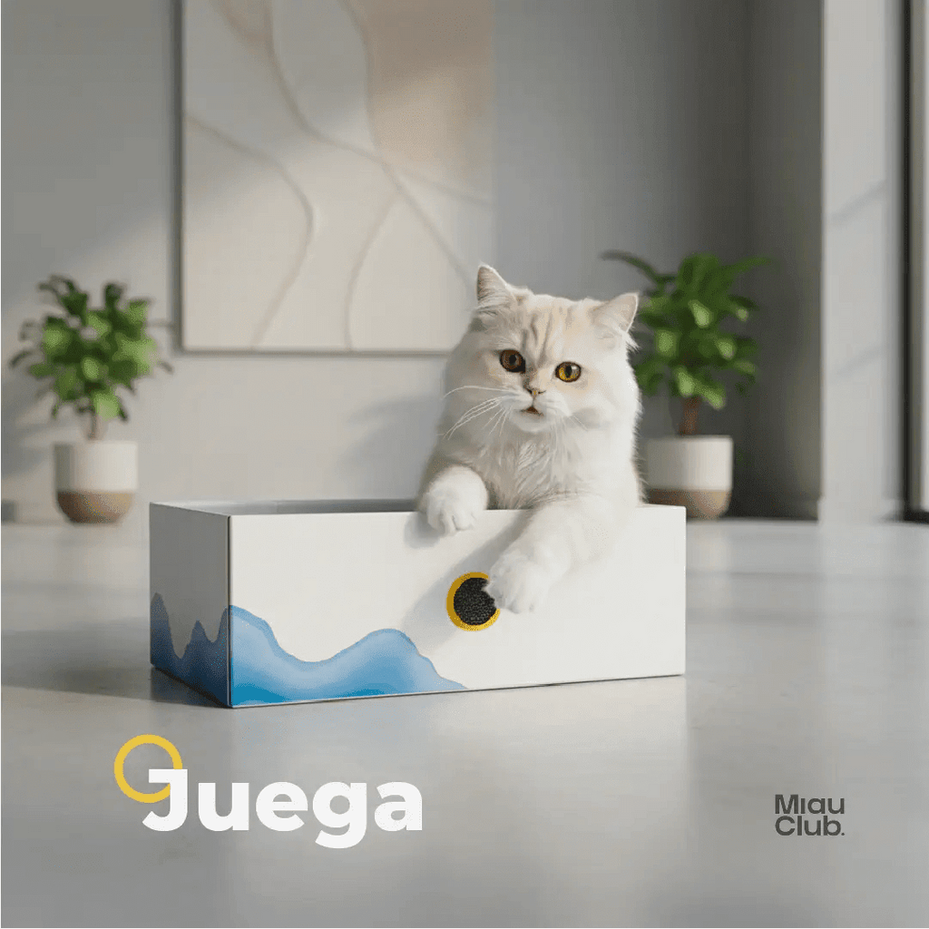 El rascador que tu gato sí va a usar | Salva tus muebles - Miau Club