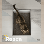 El rascador que tu gato sí va a usar | Salva tus muebles - Miau Club