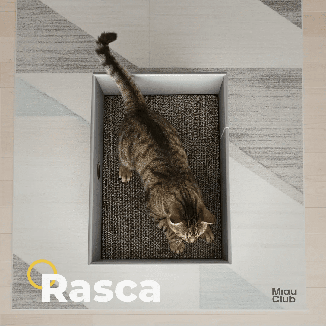 El rascador que tu gato sí va a usar | Salva tus muebles - Miau Club