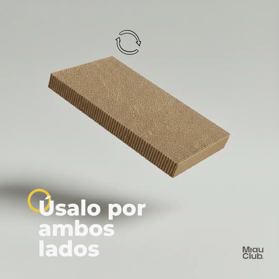 El rascador que tu gato sí va a usar | Salva tus muebles - Miau Club