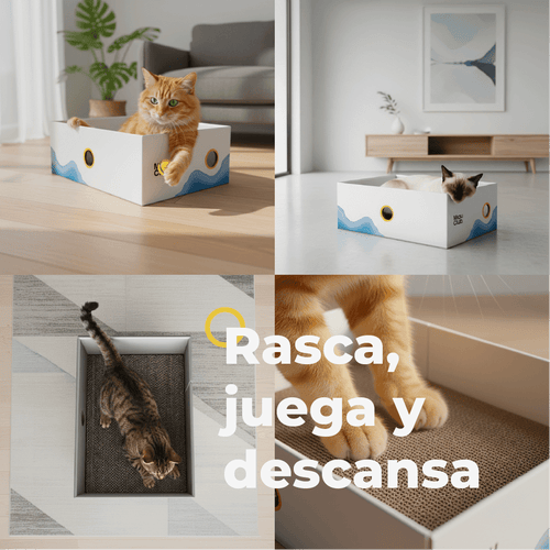 Combo Spa Miau | Bienestar y cuidado completo para tu gato - Miau Club