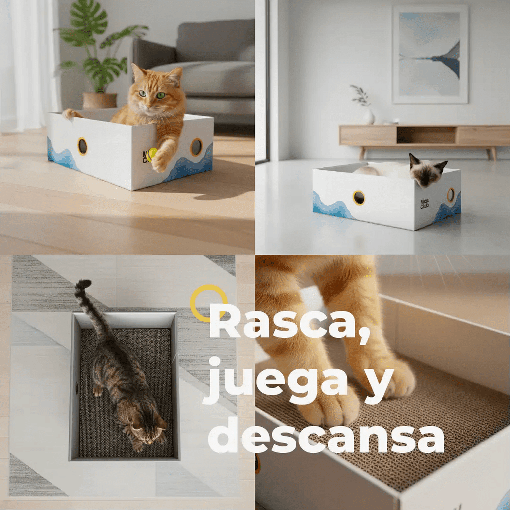 El rascador que tu gato sí va a usar | Salva tus muebles - Miau Club