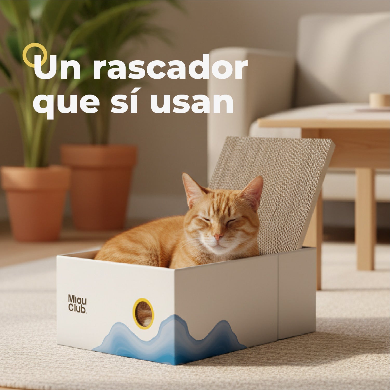 El rascador que tu gato sí va a usar | Salva tus muebles - Miau Club