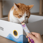 Snack cremoso para gatos sabor a Pollo X 5und - Miau Club