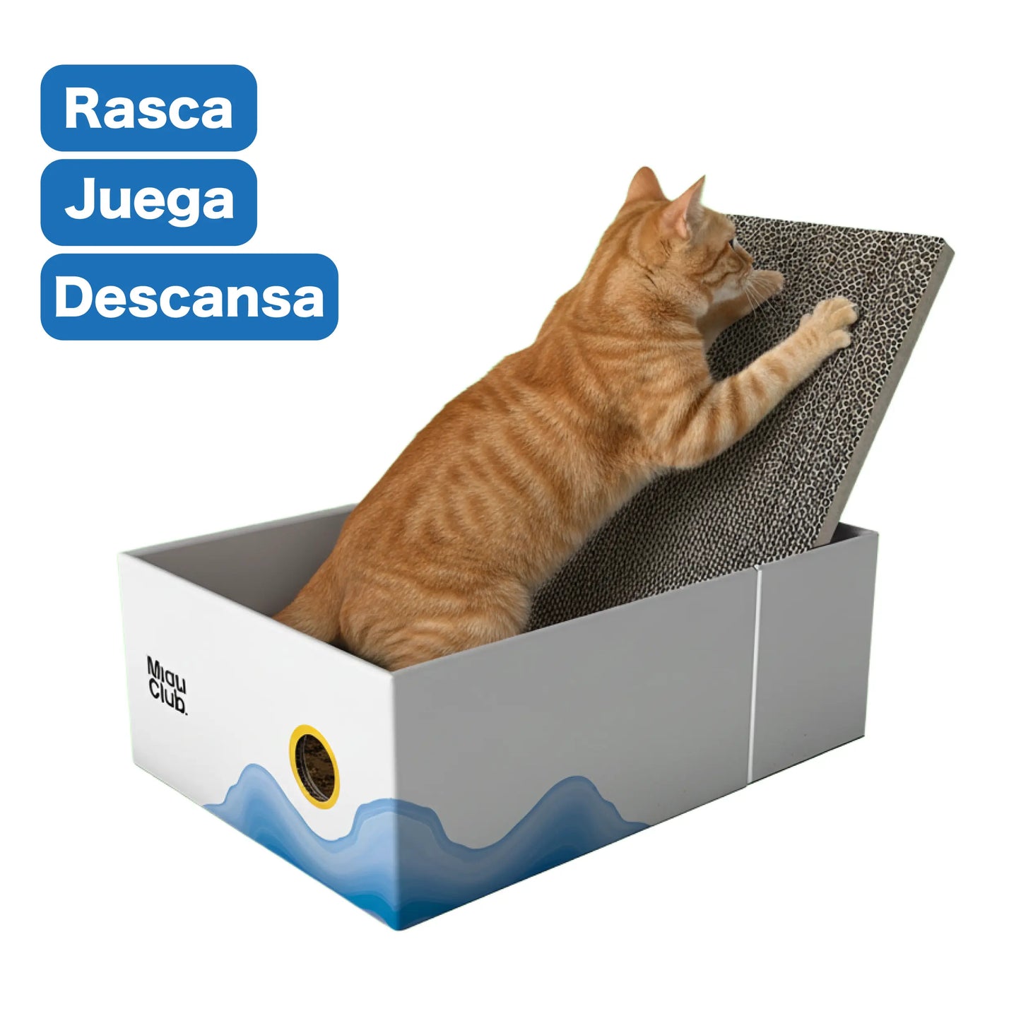 Rascador para Gatos 3 en 1 | Único en Colombia 👻 - Miau Club