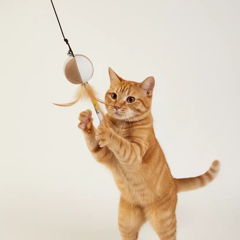 Juguete Vara Madera Para Gatos - Miau Club